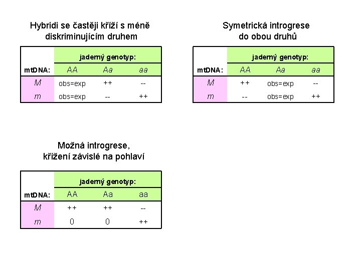 Hybridi se častěji kříží s méně diskriminujícím druhem Symetrická introgrese do obou druhů jaderný