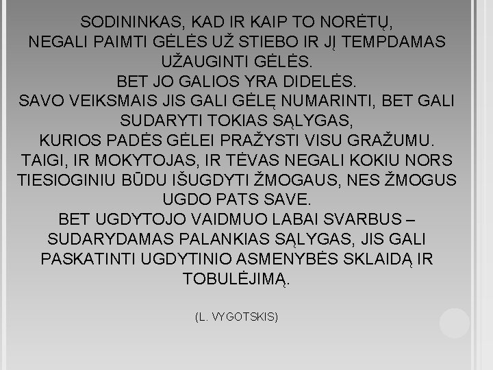 SODININKAS, KAD IR KAIP TO NORĖTŲ, NEGALI PAIMTI GĖLĖS UŽ STIEBO IR JĮ TEMPDAMAS