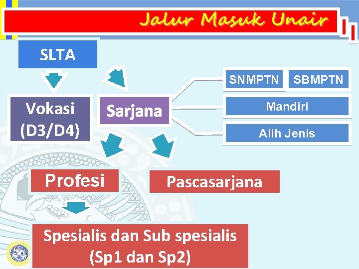 Jalur Masuk Unair SLTA SNMPTN Vokasi (D 3/D 4) Profesi Sarjana SBMPTN Mandiri Alih