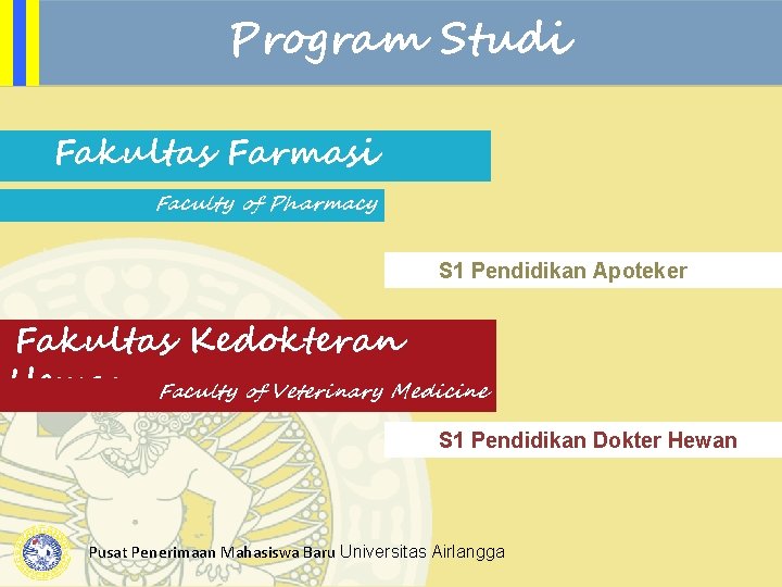 Program Studi Fakultas Farmasi Faculty of Pharmacy S 1 Pendidikan Apoteker Fakultas Kedokteran Hewan