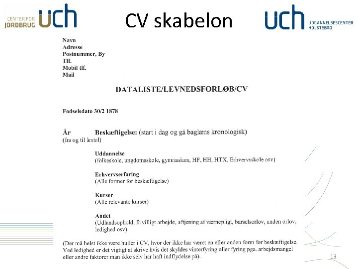 CV skabelon 13 