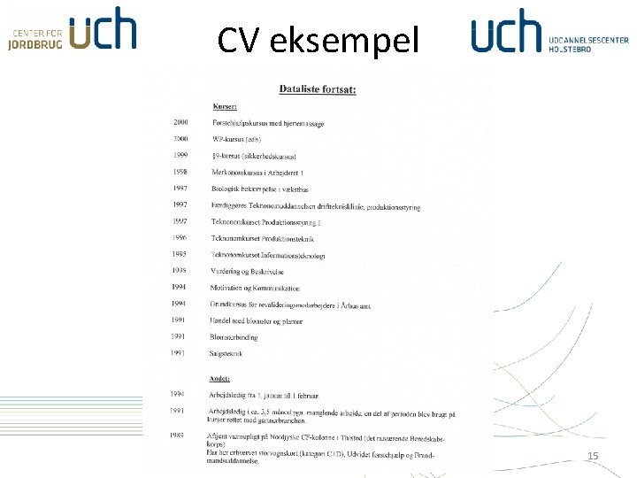 CV eksempel 15 