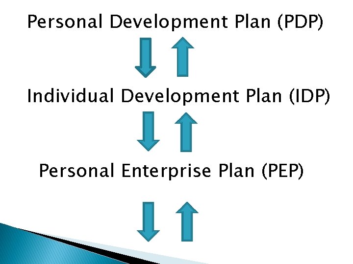 Personal Development Plan (PDP) Individual Development Plan (IDP) Personal Enterprise Plan (PEP) 