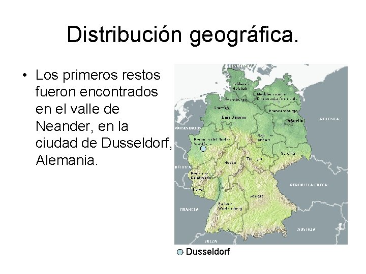 Distribución geográfica. • Los primeros restos fueron encontrados en el valle de Neander, en