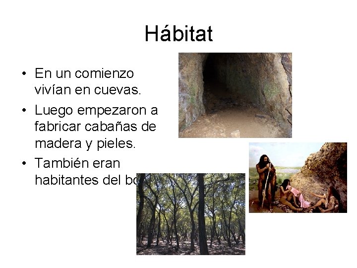 Hábitat • En un comienzo vivían en cuevas. • Luego empezaron a fabricar cabañas