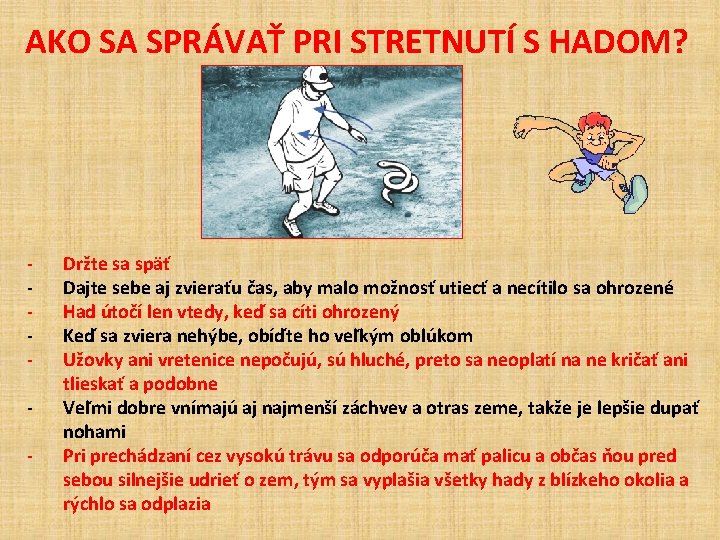 AKO SA SPRÁVAŤ PRI STRETNUTÍ S HADOM? - Držte sa späť Dajte sebe aj