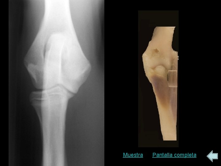 Muestra Pantalla completa 