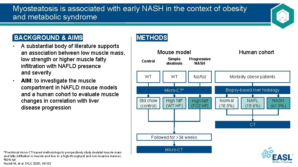 Myosteatosis is associated with early NASH in the context of obesity and metabolic syndrome