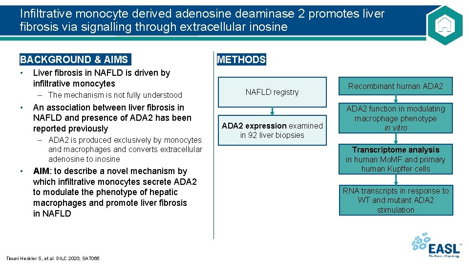 Infiltrative monocyte derived adenosine deaminase 2 promotes liver fibrosis via signalling through extracellular inosine