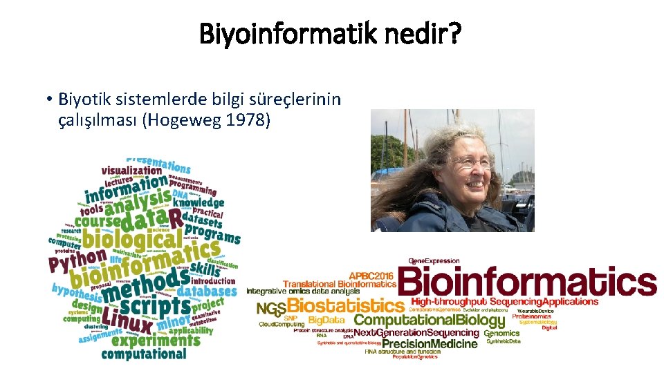 Biyoinformatik nedir? • Biyotik sistemlerde bilgi süreçlerinin çalışılması (Hogeweg 1978) 