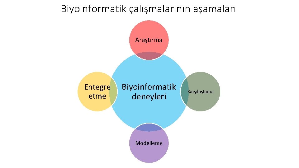 Biyoinformatik çalışmalarının aşamaları Araştırma Entegre etme Biyoinformatik deneyleri Modelleme Karşılaştırma 