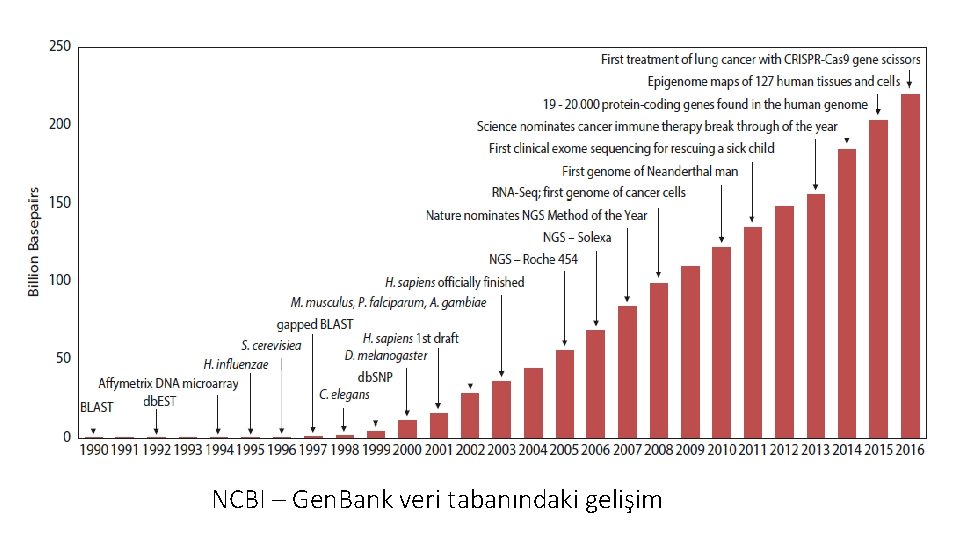 NCBI – Gen. Bank veri tabanındaki gelişim 