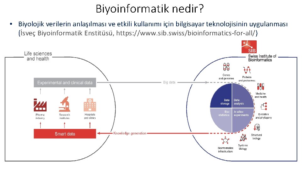 Biyoinformatik nedir? • Biyolojik verilerin anlaşılması ve etkili kullanımı için bilgisayar teknolojisinin uygulanması (İsveç