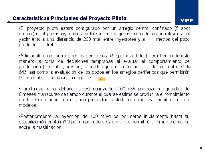 Características Principales del Proyecto Piloto • El proyecto piloto estará configurado por un arreglo