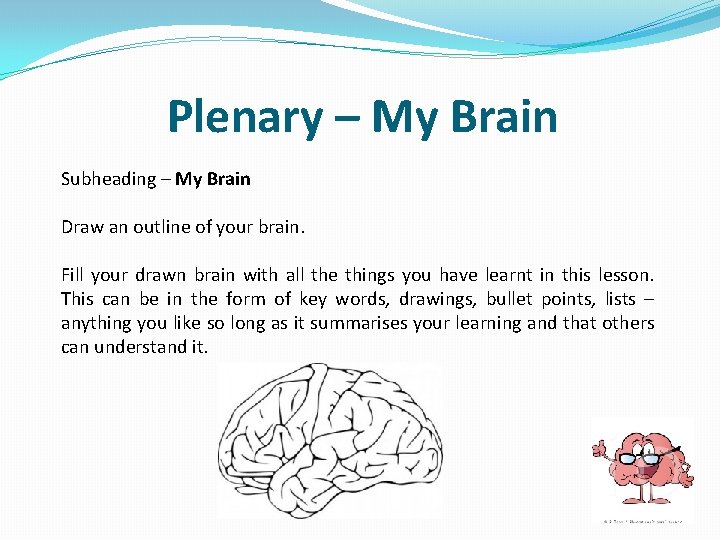 Plenary – My Brain Subheading – My Brain Draw an outline of your brain.
