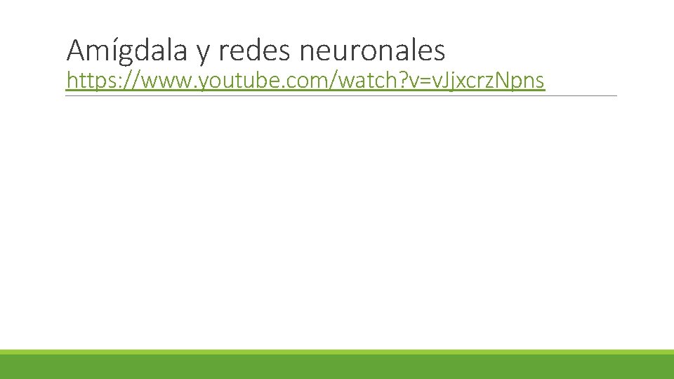 Amígdala y redes neuronales https: //www. youtube. com/watch? v=v. Jjxcrz. Npns 