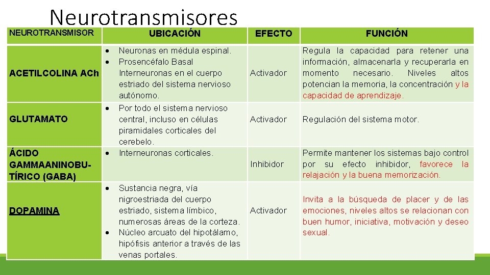 Neurotransmisores NEUROTRANSMISOR UBICACIÓN ACETILCOLINA ACh GLUTAMATO ÁCIDO GAMMAANINOBUTÍRICO (GABA) DOPAMINA Neuronas en médula espinal.