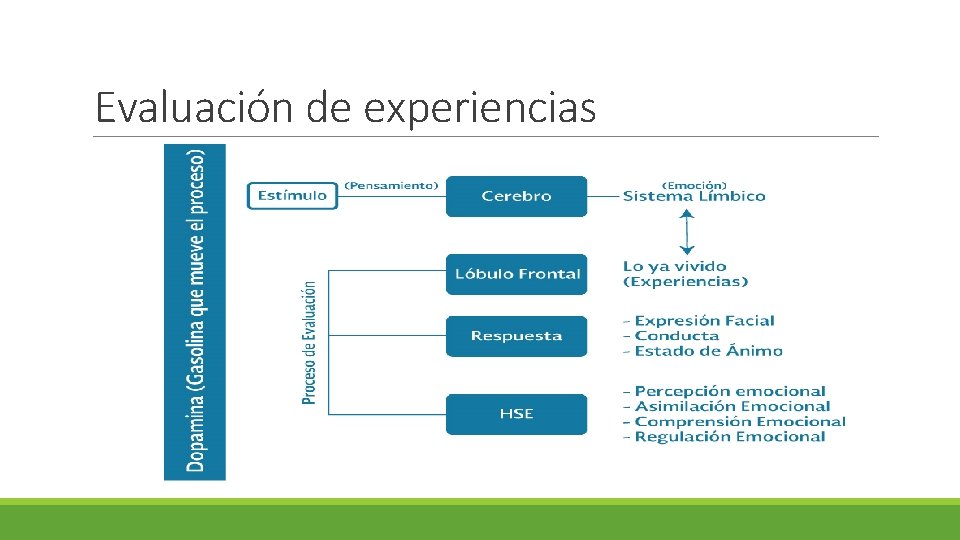 Evaluación de experiencias 