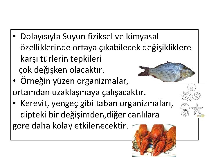  • Dolayısıyla Suyun fiziksel ve kimyasal özelliklerinde ortaya çıkabilecek değişikliklere karşı türlerin tepkileri