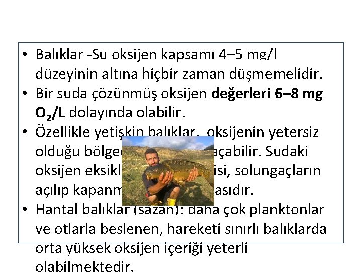  • Balıklar -Su oksijen kapsamı 4– 5 mg/l düzeyinin altına hiçbir zaman düşmemelidir.