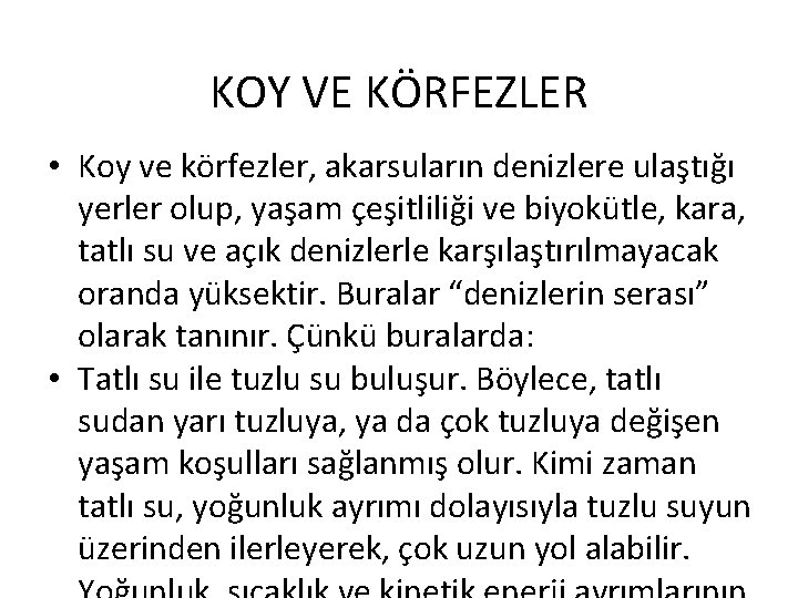 KOY VE KÖRFEZLER • Koy ve körfezler, akarsuların denizlere ulaştığı yerler olup, yaşam çeşitliliği