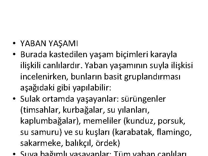  • YABAN YAŞAMI • Burada kastedilen yaşam biçimleri karayla ilişkili canlılardır. Yaban yaşamının