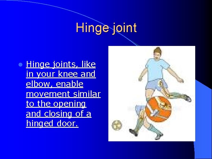 Hinge joint l Hinge joints, like in your knee and elbow, enable movement similar