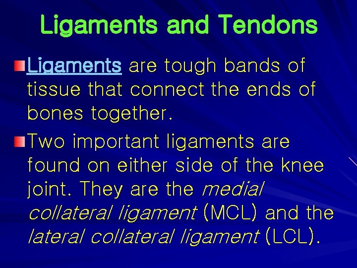 Ligaments and Tendons Ligaments are tough bands of tissue that connect the ends of