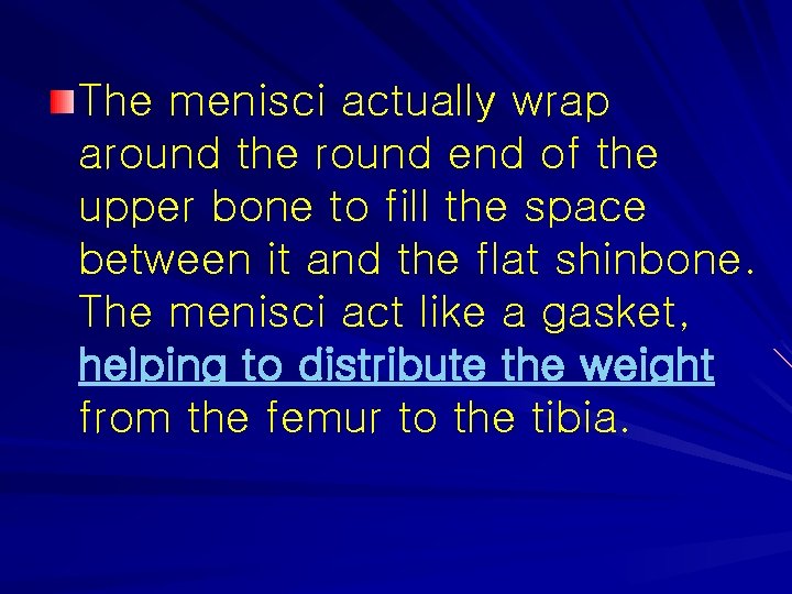 The menisci actually wrap around the round end of the upper bone to fill