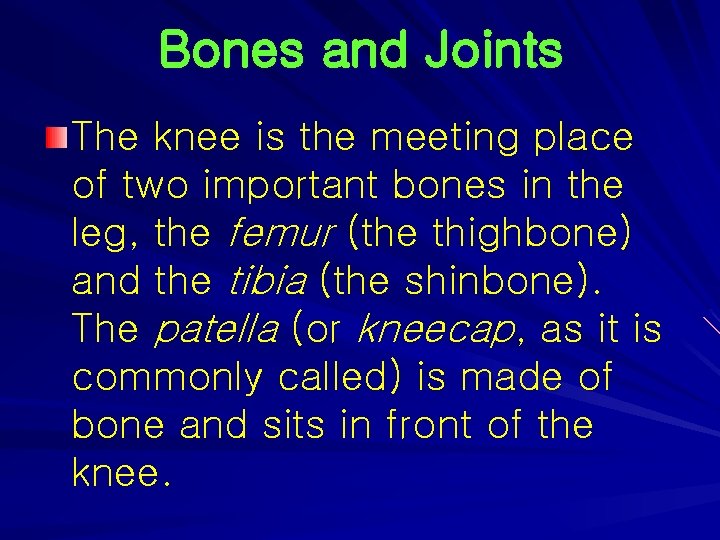 Bones and Joints The knee is the meeting place of two important bones in