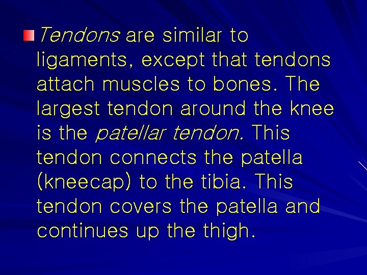 Tendons are similar to ligaments, except that tendons attach muscles to bones. The largest