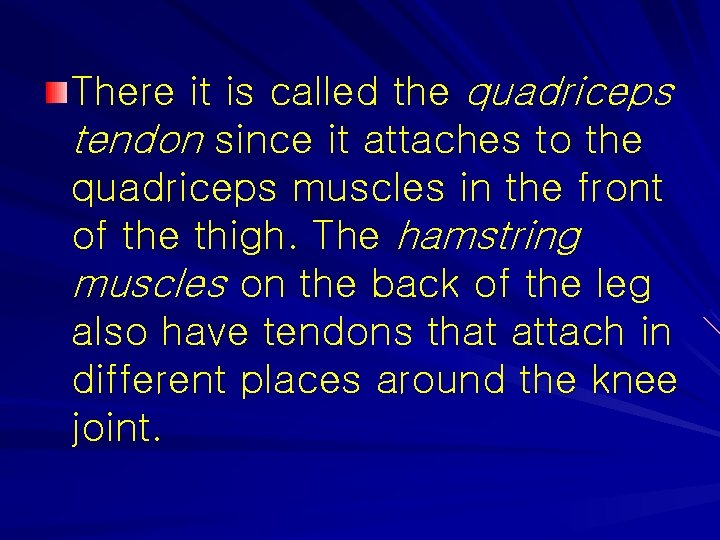 There it is called the quadriceps tendon since it attaches to the quadriceps muscles