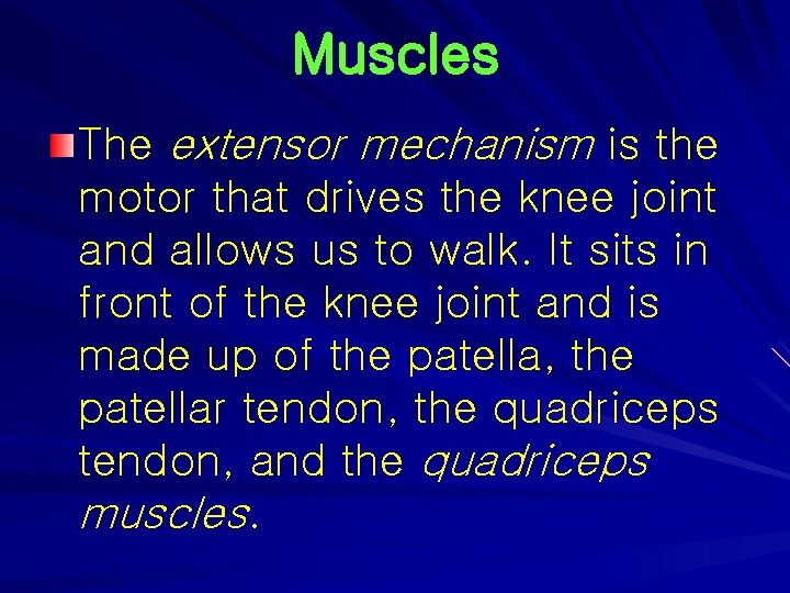 Muscles The extensor mechanism is the motor that drives the knee joint and allows