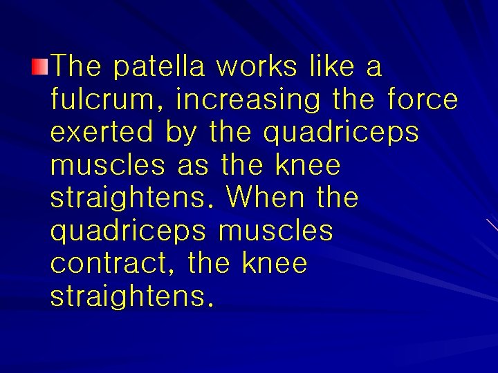 The patella works like a fulcrum, increasing the force exerted by the quadriceps muscles