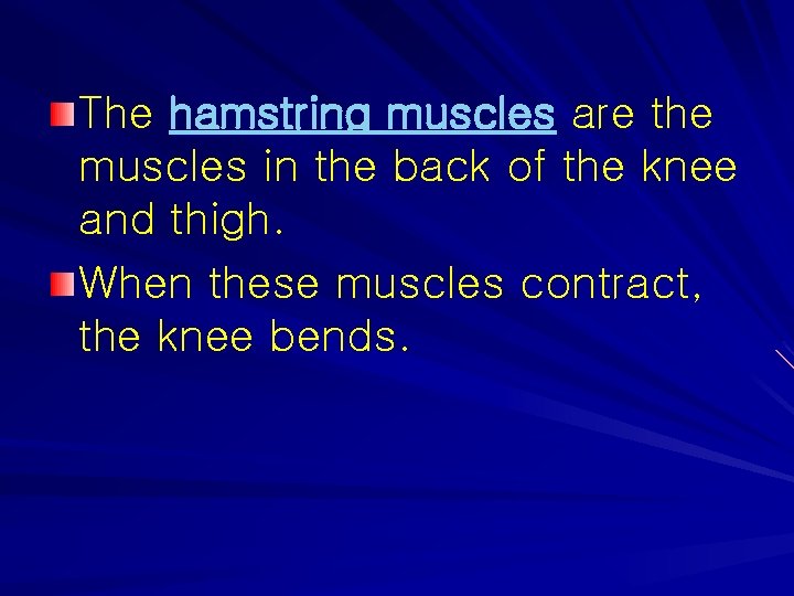 The hamstring muscles are the muscles in the back of the knee and thigh.
