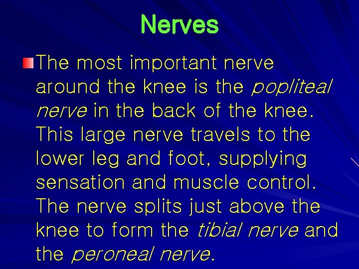 Nerves The most important nerve around the knee is the popliteal nerve in the