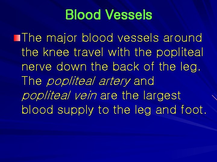 Blood Vessels The major blood vessels around the knee travel with the popliteal nerve