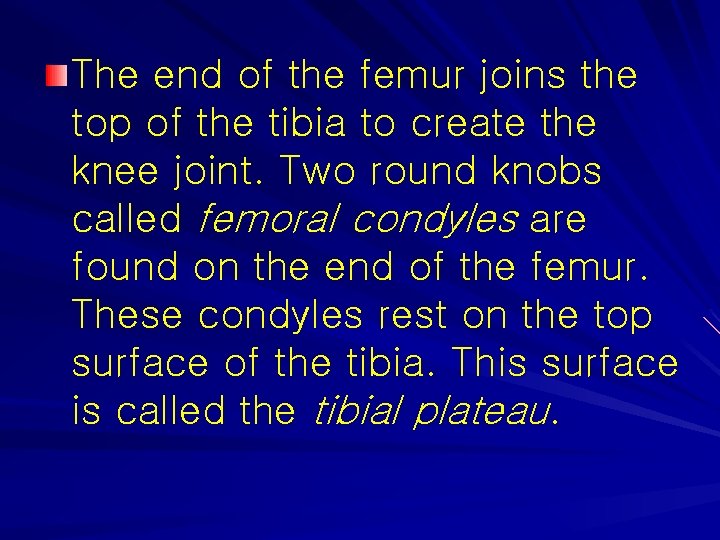The end of the femur joins the top of the tibia to create the