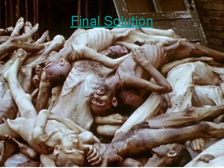 Final Solution 