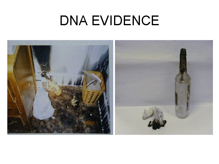 DNA EVIDENCE 