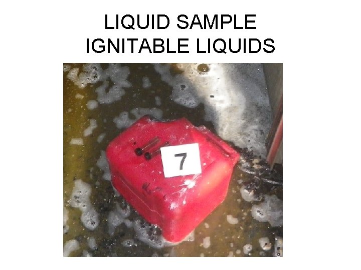 LIQUID SAMPLE IGNITABLE LIQUIDS 