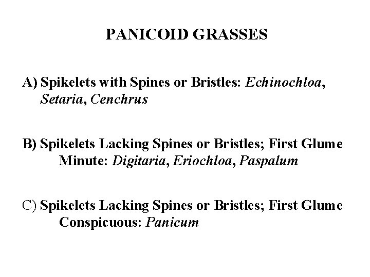 PANICOID GRASSES A) Spikelets with Spines or Bristles: Echinochloa, Setaria, Cenchrus B) Spikelets Lacking