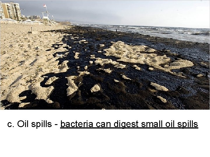 c. Oil spills - bacteria can digest small oil spills 