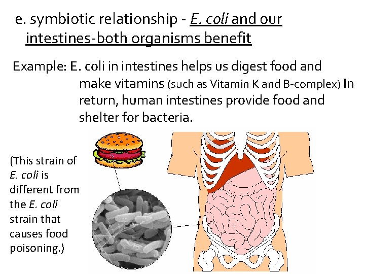 e. symbiotic relationship - E. coli and our intestines-both organisms benefit Example: E. coli