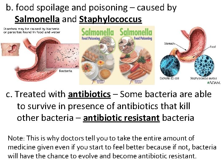 b. food spoilage and poisoning – caused by Salmonella and Staphylococcus c. Treated with