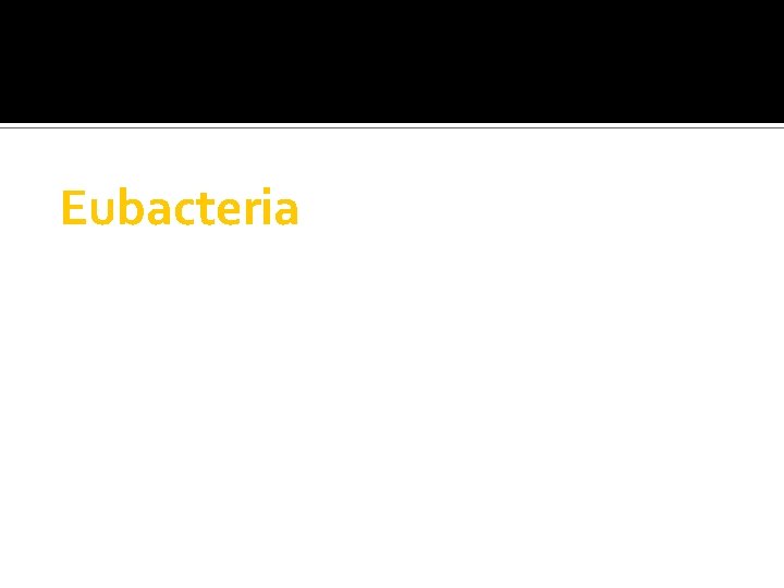 Eubacteria 