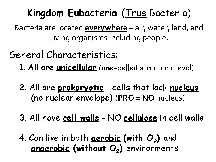 Kingdom Eubacteria (True Bacteria) Bacteria are located everywhere – air, water, land, and living