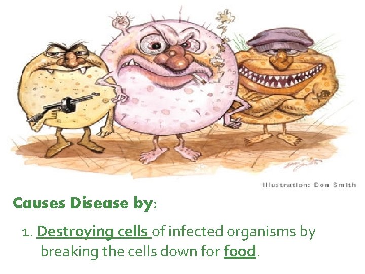 Causes Disease by: 1. Destroying cells of infected organisms by breaking the cells down