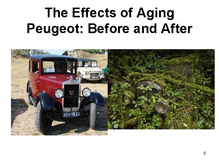 The Effects of Aging Peugeot: Before and After 8 