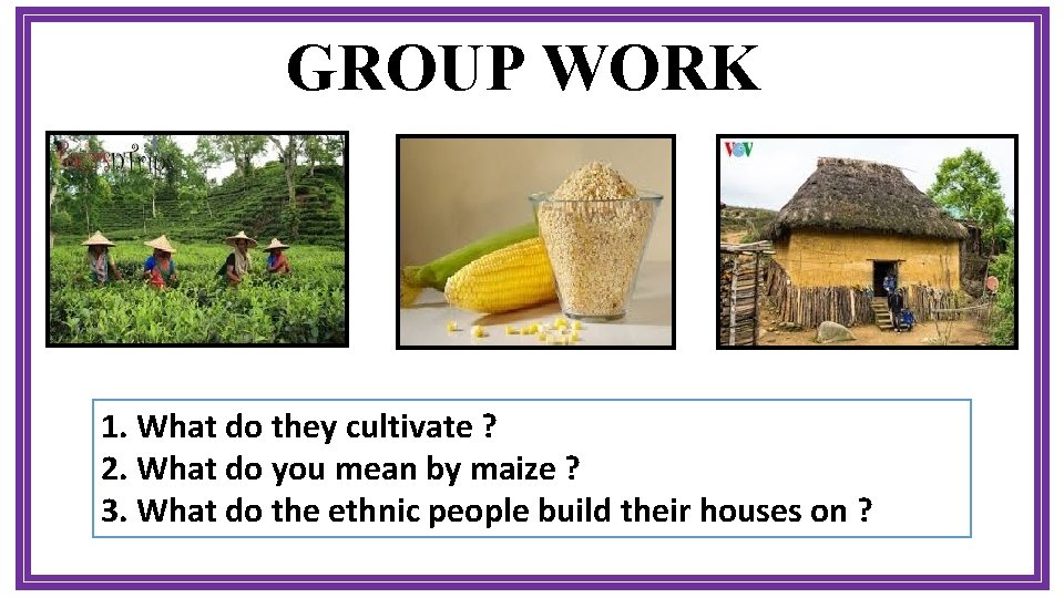 GROUP WORK 1. What do they cultivate ? 2. What do you mean by